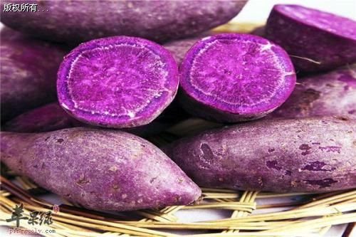 鲜食紫罗兰紫薯基地市场专卖型紫薯